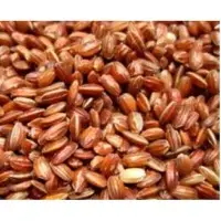 Red Rice
