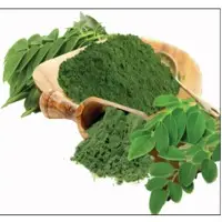 Moringa Powder