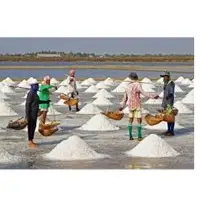 Indian Sea Salt