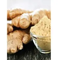 Ginger