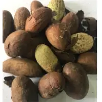 Bitter Kola
