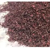 Hibiscus Flower