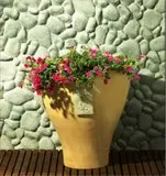 Decorative Pots