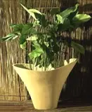 Decorative Pots