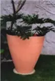 P2