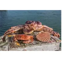 Crabs