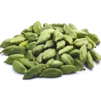 Cardamom (Elettaria Cardamomum)