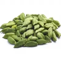 Cardamom (Elettaria Cardamomum)