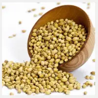 Coriander Seeds
