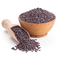 Mustard Seed