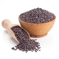 Mustard Seed