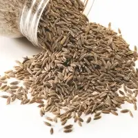 Cumin Seeds