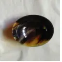 Polished Horn Bowl