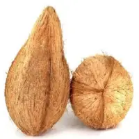 Semi Husked Coconut