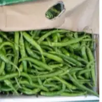 Fresh Green Chilli