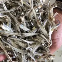 Boiled and S undried Anchovies