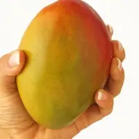 Fresh Mango