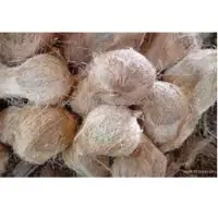 Semi Husked Coconut