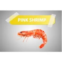 Shrimps