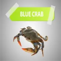 Crabs
