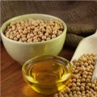Soya Bean Meal
