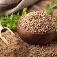 Coriander Seed
