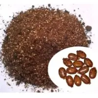 Castorseed Meal