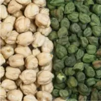 Chick Pea and Bengal gram