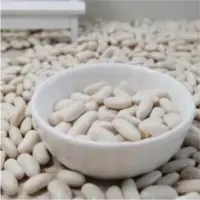 White Kidney Beans