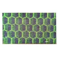 Coir Mat