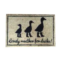 Coir Mats