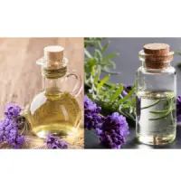 Lavender Essential Oil