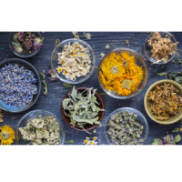 Medicinal Plants
