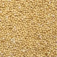 Millet