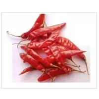 Sannam S4 Chilli