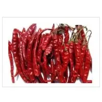Teja Chilli