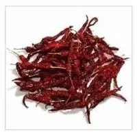 Byadgi Chilli