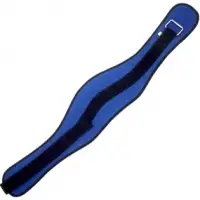 Weight Lifting Belt
