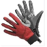 Ski Gloves
