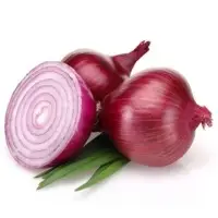 Fresh Onions