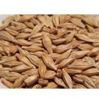 Barley Seeds