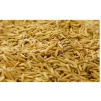 Rice Bran