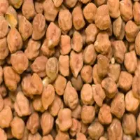 Desi Chickpeas