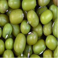 Mung Beans