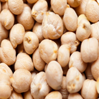 Kabuli Chickpeas