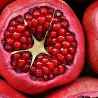 Pomegranate