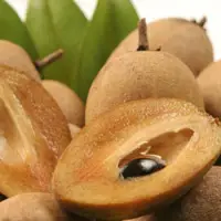 Sapota