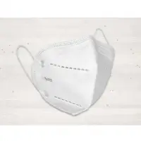 N95 Mask