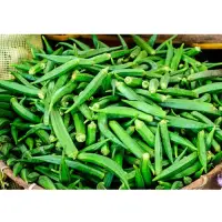 Fresh Okra
