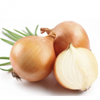 Onion